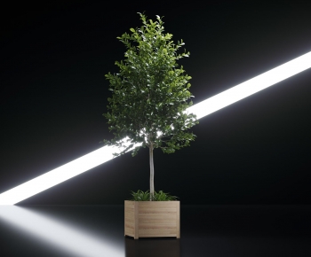 Modern Flower Bed, Flower Bowl, Flower Box-ID:457921076