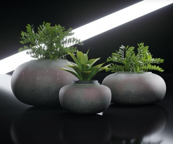 Modern Ground Green Plant Potted Plants-ID:242575888