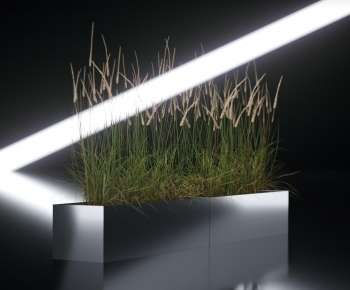 Modern Flower Bed, Flower Bowl, Flower Box-ID:617460977