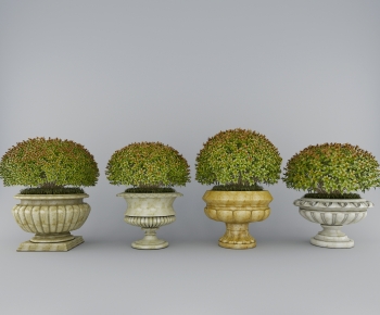 Modern Flower Bed, Flower Bowl, Flower Box-ID:794229037