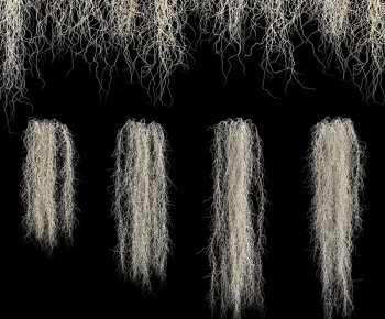 Modern The Grass-ID:759155991