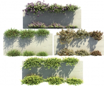 Modern Vine-ID:959166055