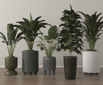 Modern Ground Green Plant Potted Plants-ID:976104977