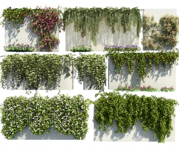 Modern Vine-ID:408511272