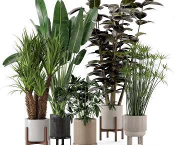 Modern Ground Green Plant Potted Plants-ID:968384984