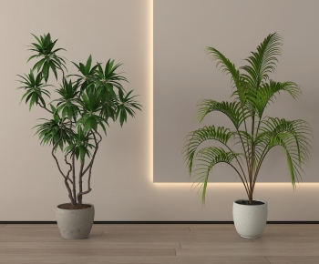 Modern Ground Green Plant Potted Plants-ID:313776973