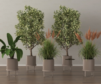 Modern Ground Green Plant Potted Plants-ID:476461893
