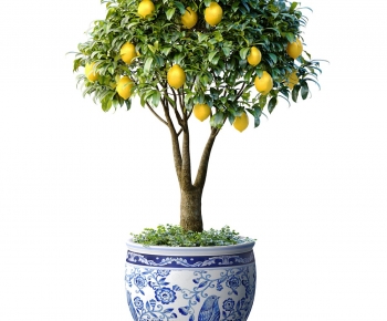 Modern Ground Green Plant Potted Plants-ID:933228978