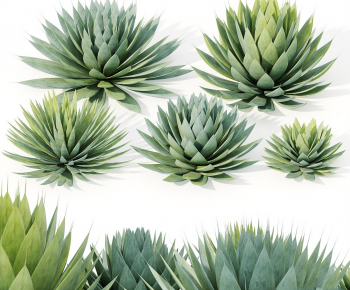 Modern Plant-ID:312532909