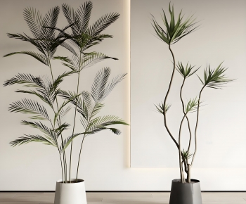 Modern Ground Green Plant Potted Plants-ID:585083015