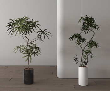 Modern Ground Green Plant Potted Plants-ID:686862957