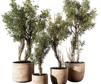 Modern Ground Green Plant Potted Plants-ID:773776058