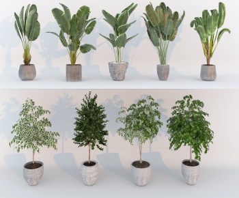 Modern Ground Green Plant Potted Plants-ID:865015035