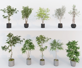 Modern Ground Green Plant Potted Plants-ID:181922915