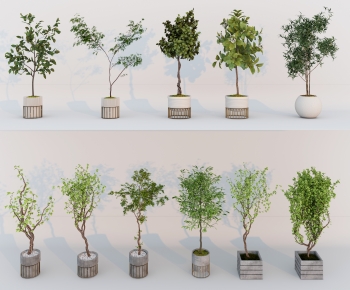 Modern Ground Green Plant Potted Plants-ID:624231101