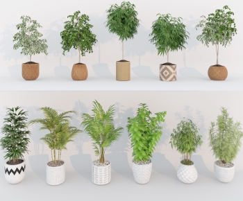 Modern Ground Green Plant Potted Plants-ID:663700179