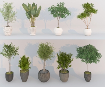Modern Ground Green Plant Potted Plants-ID:214173084