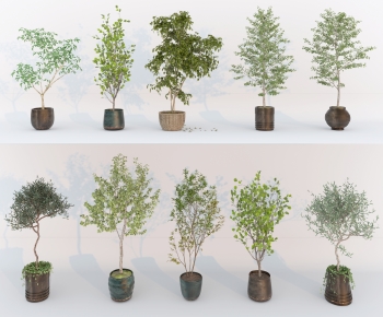 Modern Ground Green Plant Potted Plants-ID:714906939