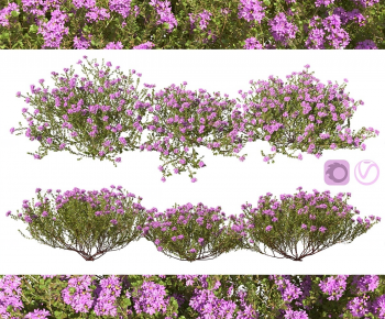 Modern Shrubbery-ID:567358975