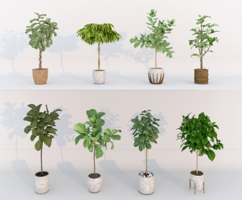 Modern Ground Green Plant Potted Plants-ID:103640687