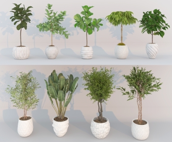 Modern Ground Green Plant Potted Plants-ID:318533904