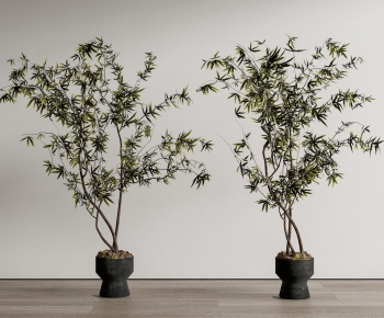 Modern Ground Green Plant Potted Plants-ID:640558964