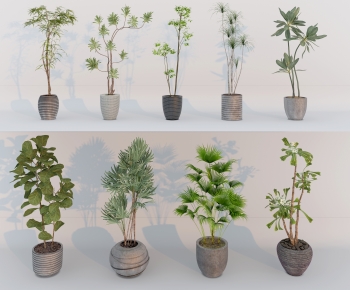 Modern Ground Green Plant Potted Plants-ID:679550891