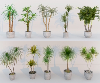 Modern Ground Green Plant Potted Plants-ID:160384895