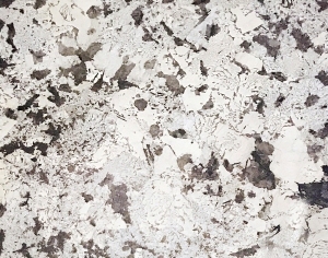 ModernMarble Tiles
