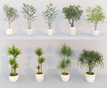 Modern Ground Green Plant Potted Plants-ID:363308917