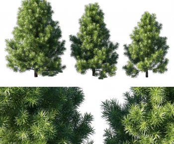 Modern Tree-ID:348059893