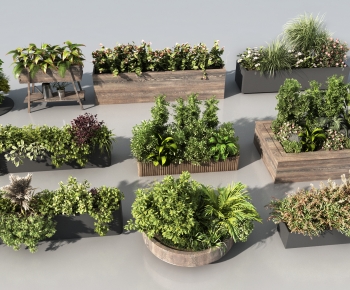 Modern Flower Bed, Flower Bowl, Flower Box-ID:820765973