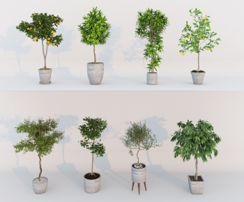 Modern Ground Green Plant Potted Plants-ID:592689043