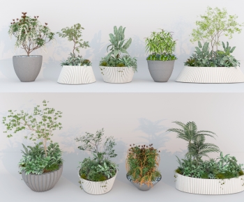 Modern Potted Green Plant-ID:496718915