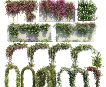 Modern Vine-ID:906769992