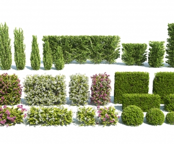 Modern Shrubbery-ID:669912102