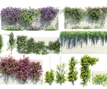 Modern Vine-ID:777659892