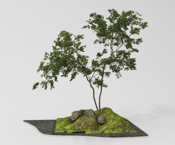 Modern Plant Landscaping-ID:713031054