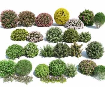 Modern Shrubbery-ID:897511962