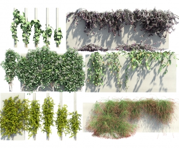 Modern Vine-ID:103984123