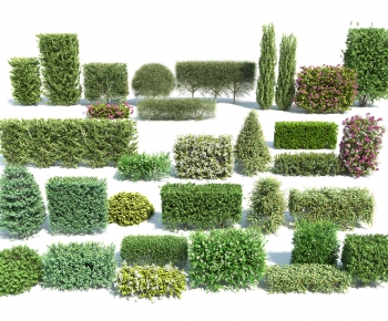 Modern Shrubbery-ID:584420921