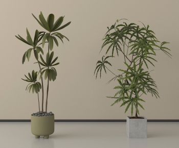 Modern Ground Green Plant Potted Plants-ID:537312039