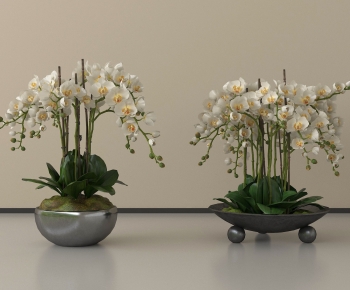 Modern Potted Green Plant-ID:528569942