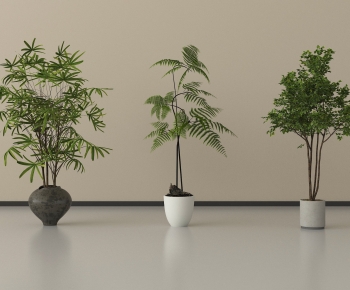 Modern Ground Green Plant Potted Plants-ID:907919487