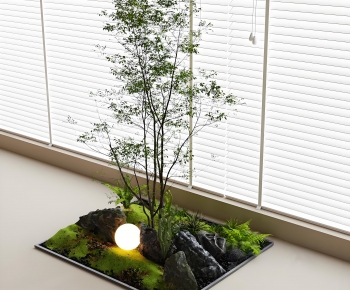 Modern Plant Landscaping-ID:923394923