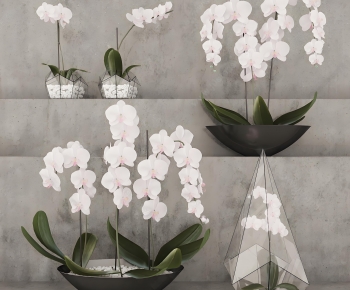 Modern Potted Green Plant-ID:844667918