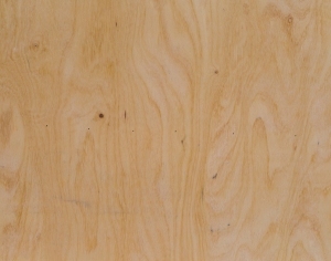 Wood Texture