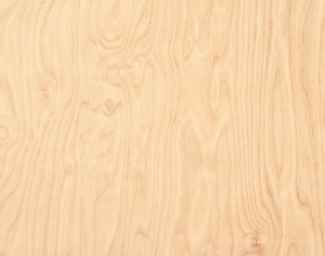 Wood Texture