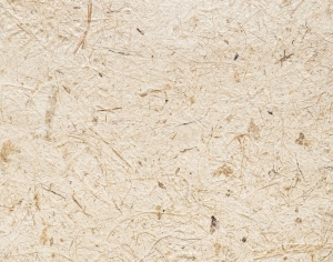 ModernPlywood Texture