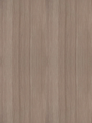 ModernWood Texture